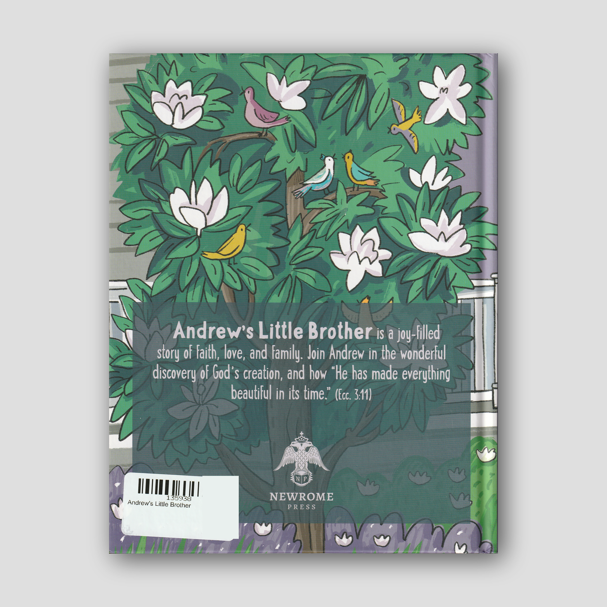 Andrew's Little Brother — back cover