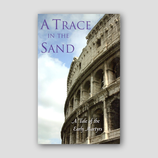 A Trace in the Sand — front cover