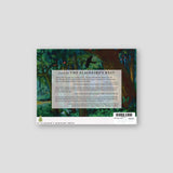 Blackbird's Nest — back cover
