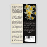 Striving Toward God Spiritual Advice for Daily Living — back cover