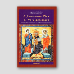 A Panoramic View of Holy Scripture (Vol 1) — front cover