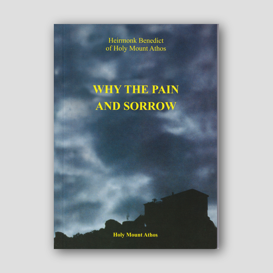 Why the Pain and Sorrow — front cover