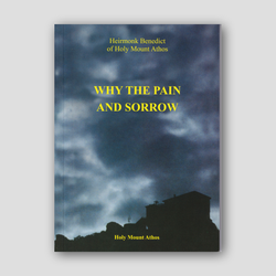 Why the Pain and Sorrow — front cover