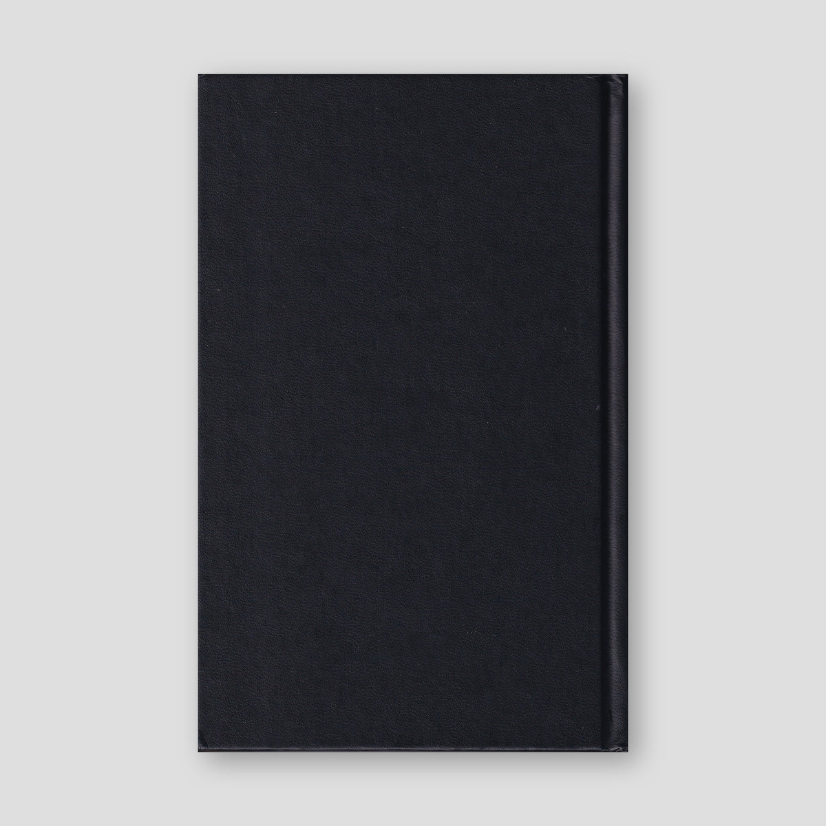 The Greek-English New Testament — back cover