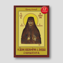 Ο Άγιος Νικηφόρος ο Λεπρός — front cover