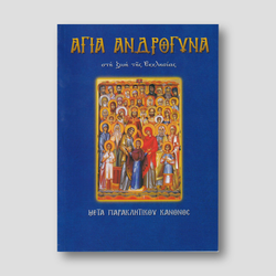 Άγια Ανδρόγυνα στη ζωή της Εκκλησίας — front cover