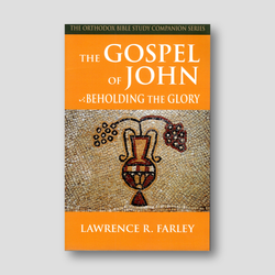The Gospel of John: Beholding the Glory — front cover
