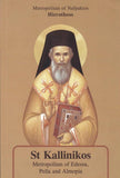 St Kallinikos, Metropolitan of Edessa, Pella and Almopia