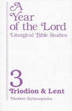 A Year of Our Lord - Volume 3